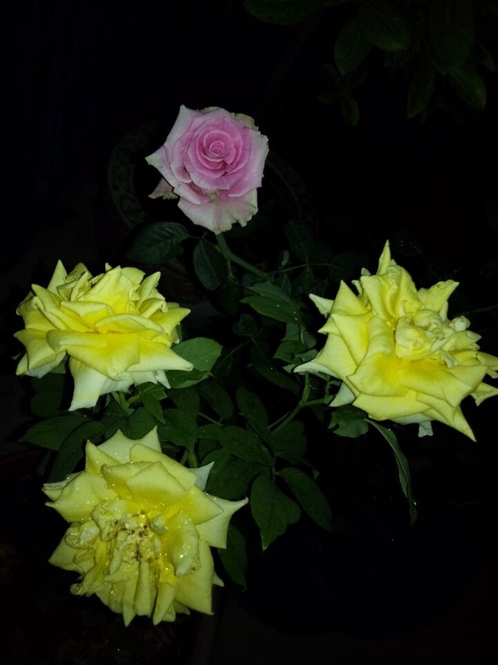 QQ图片20140622235047.jpg