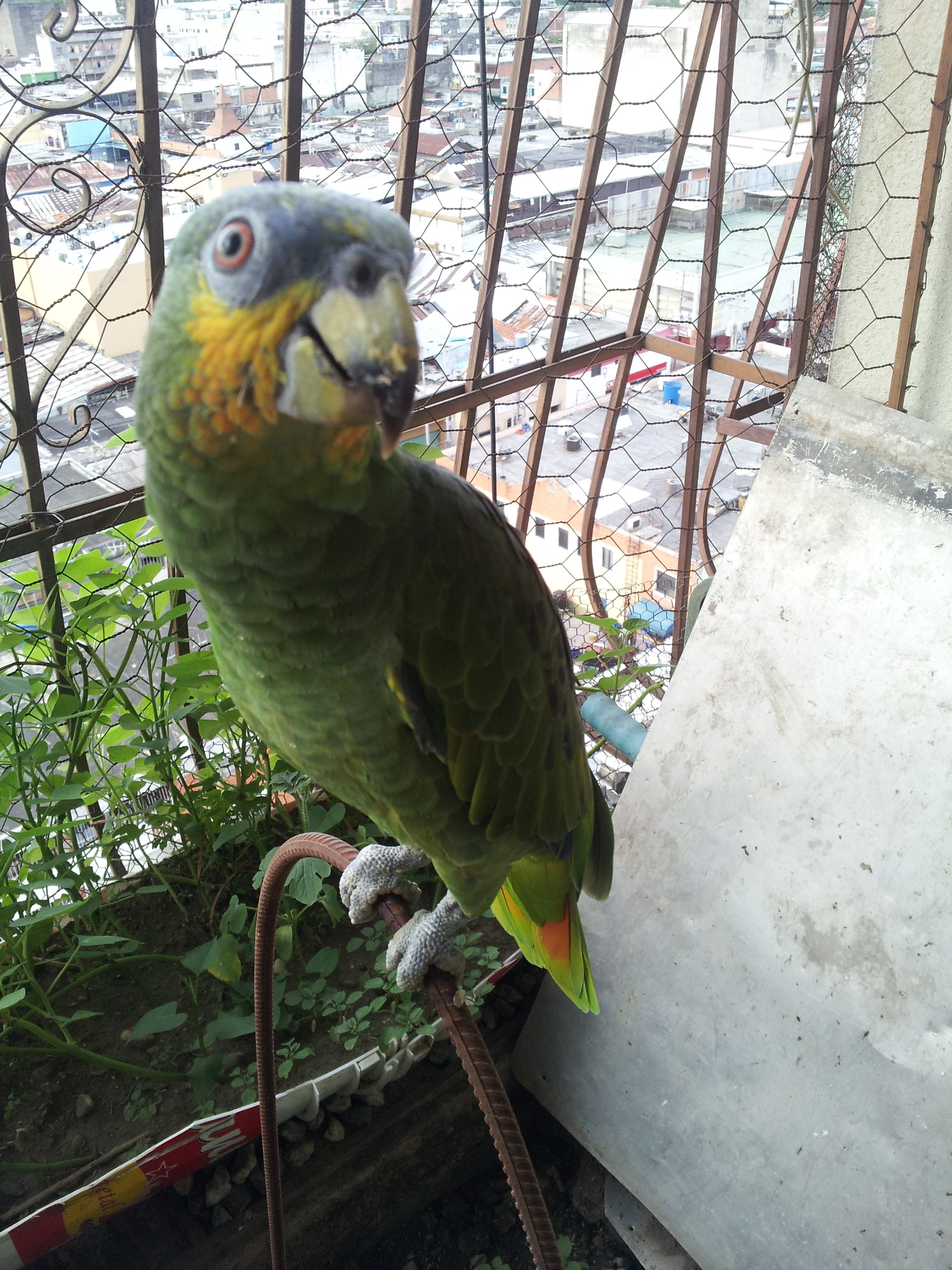 20140601_165432.jpg