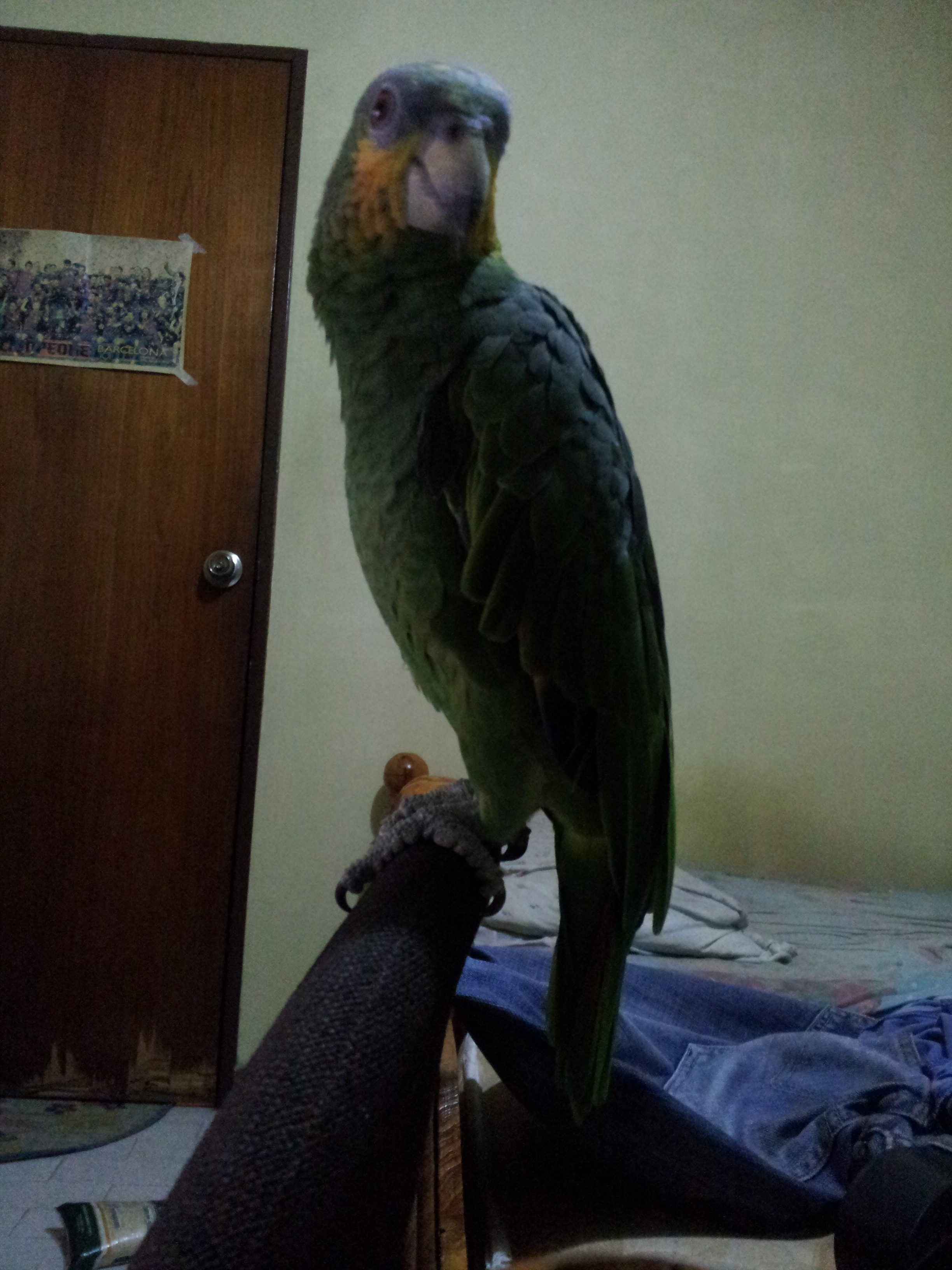 20140527_230619.jpg