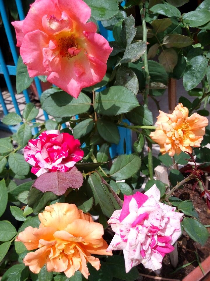 QQ图片20140626202213.jpg