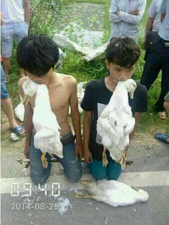QQ图片20140826230236.jpg