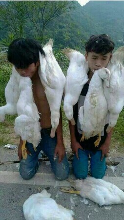 QQ图片20140826230247.jpg