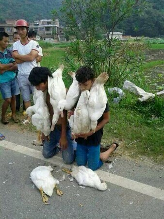 QQ图片20140826230259.jpg