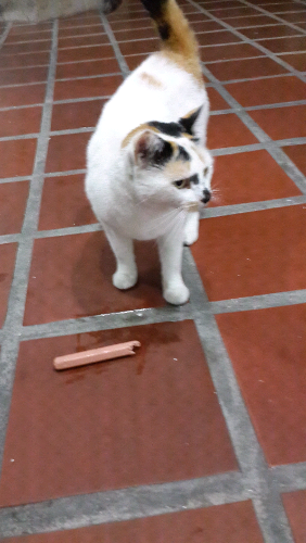20140826_223620.jpg
