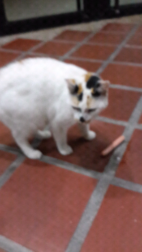 20140826_223538.jpg
