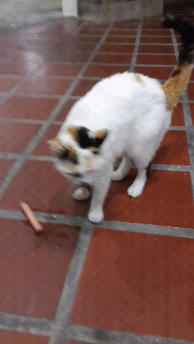 20140826_223522.jpg