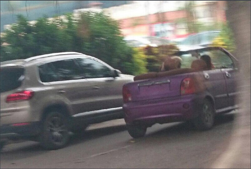 QQ图片20140828212802.jpg