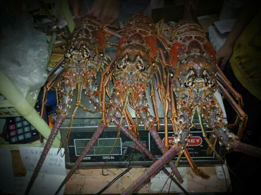 QQ图片20140828194351.jpg