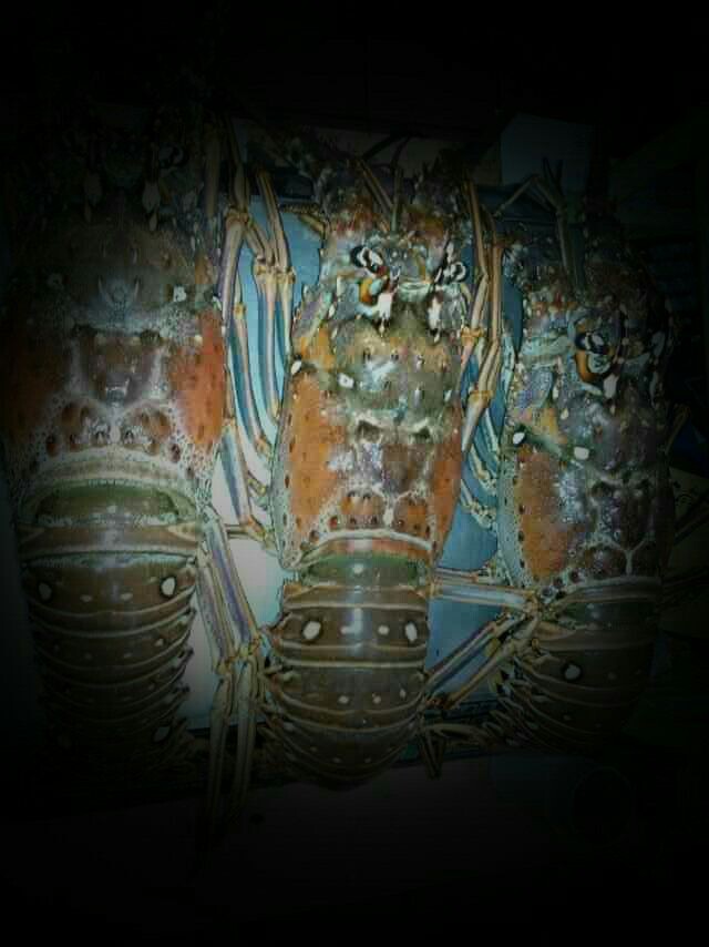 QQ图片20140828194348.jpg