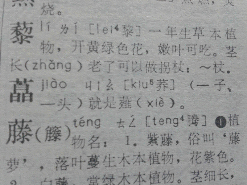 20140902_234509.jpg