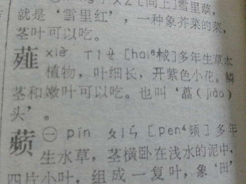20140902_234545.jpg