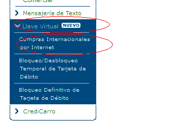 banesco.png