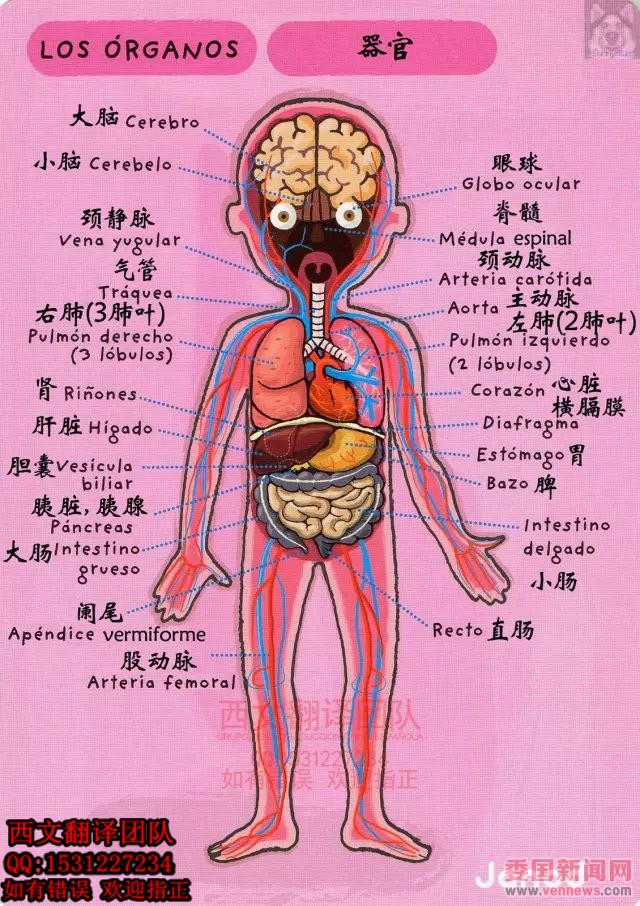 psb (11)_副本.jpg