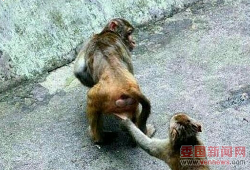 QQ图片20150608223926.png