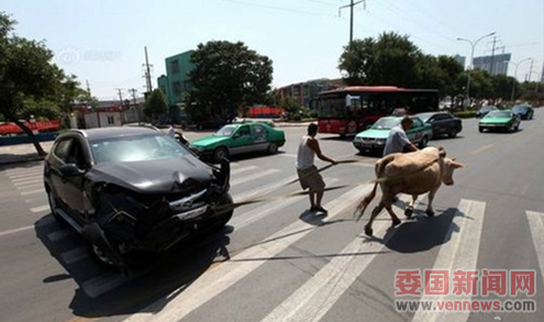 QQ图片20150608224734.png