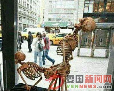 QQ图片20150618204857.jpg