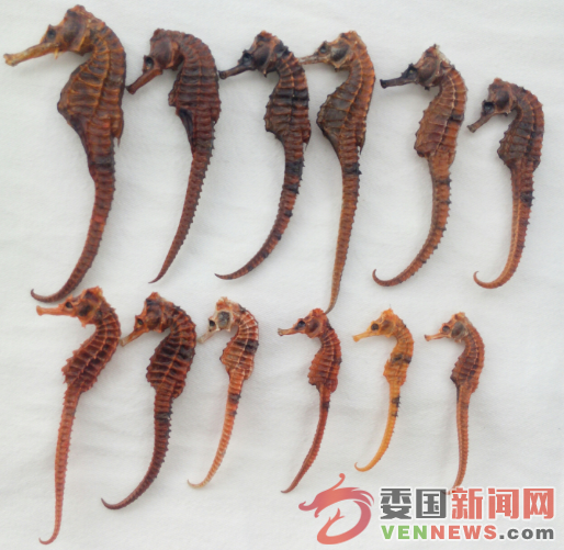 QQ图片20150721095129.png