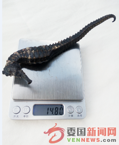 QQ图片20150721095214.png