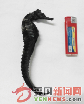 QQ图片20150722023007.png