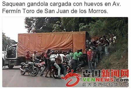 guarico02.gif