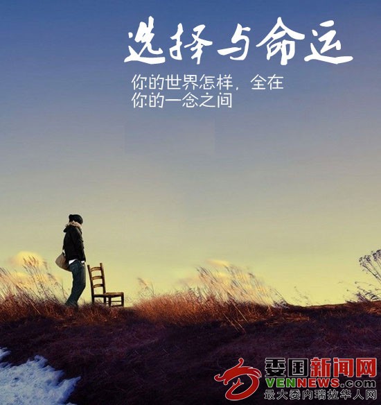 选择与命运.jpg