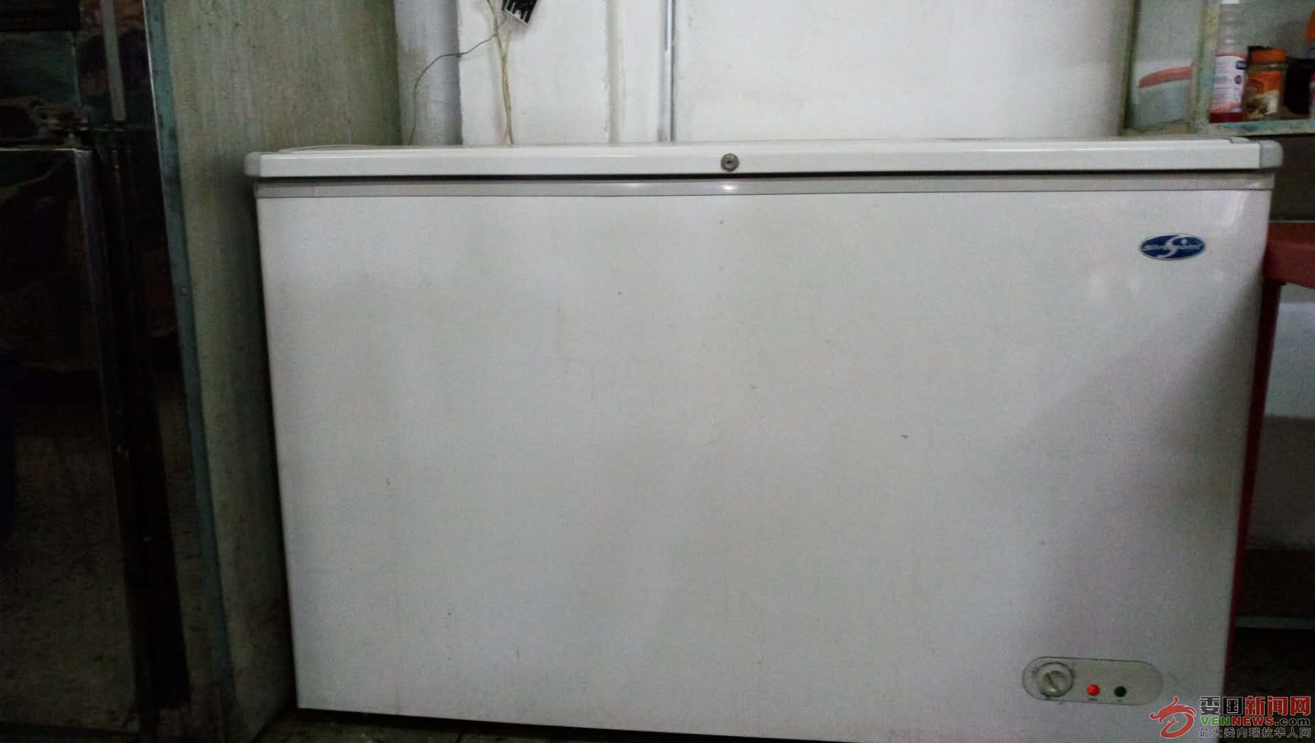 1只.jpg