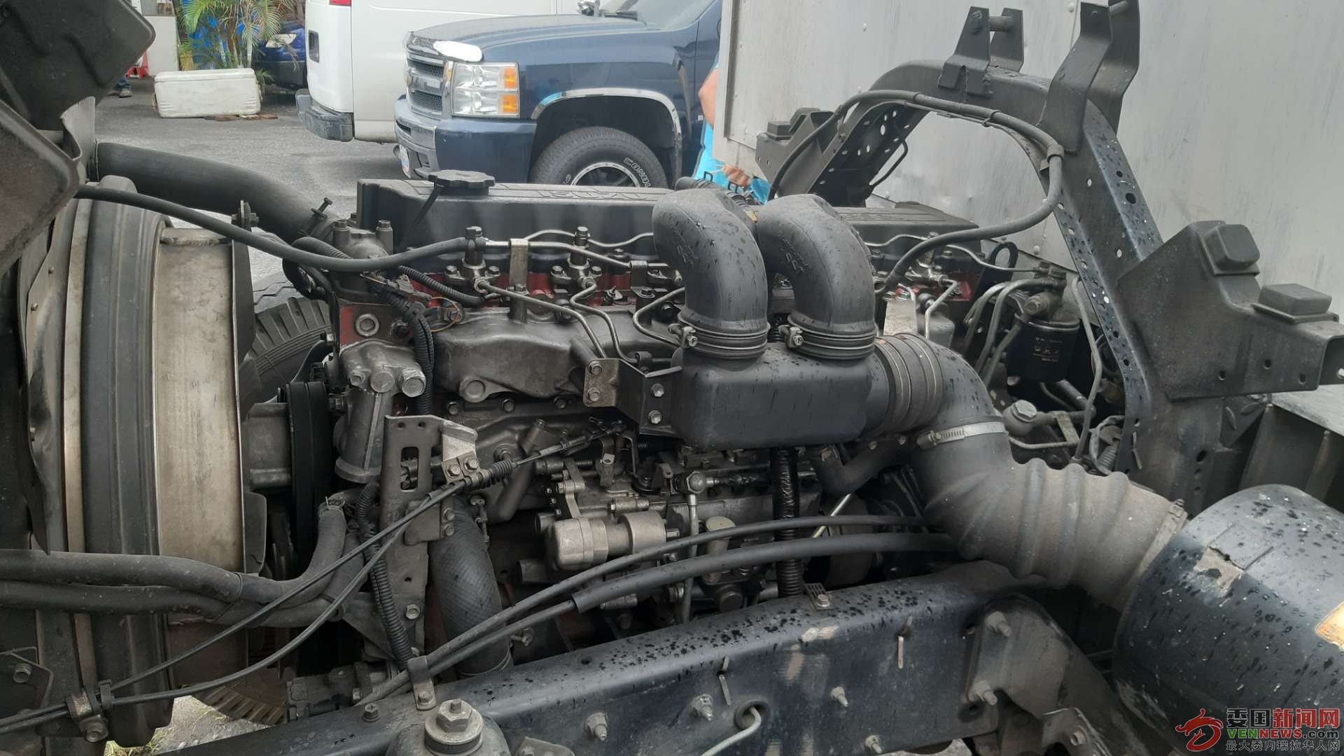 mmexport1597960945672.jpg
