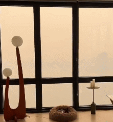 20230608145408531.gif