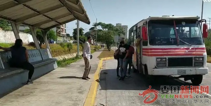 Margarita-Transporte.jpg