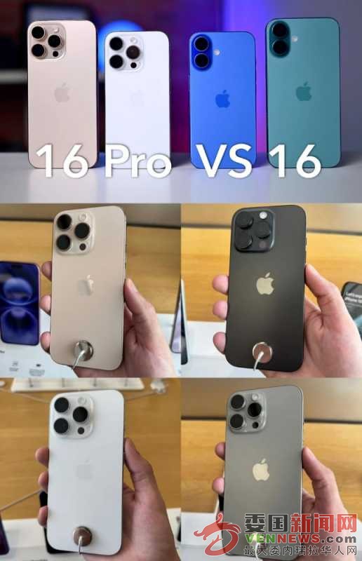mmexport1733252349687.jpg