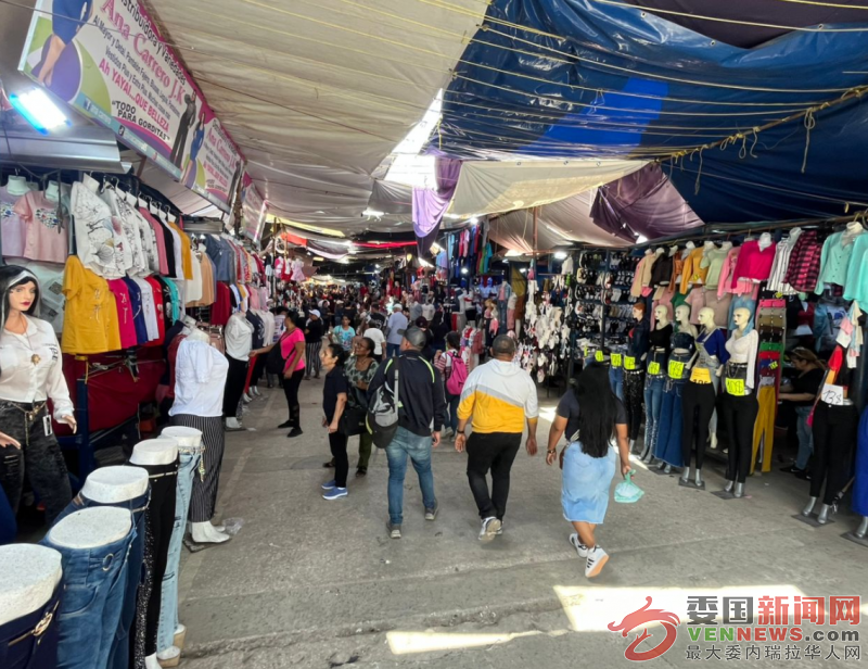 QQ20241227-113349.png