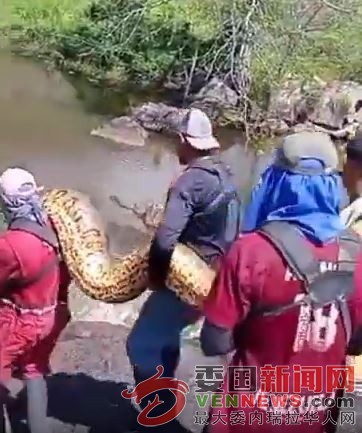 Anaconda.jpg