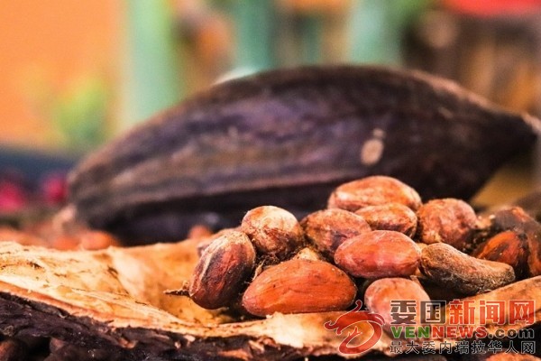 tsize_600x400_CacaoChocolateVenezuela.jpg