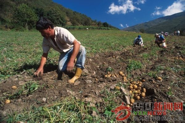 tsize_600x400_papas-12-1132x670-1.jpg