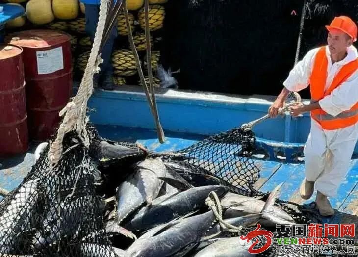640?wx_fmt=jpeg&from=appmsg&watermark=1.jpg