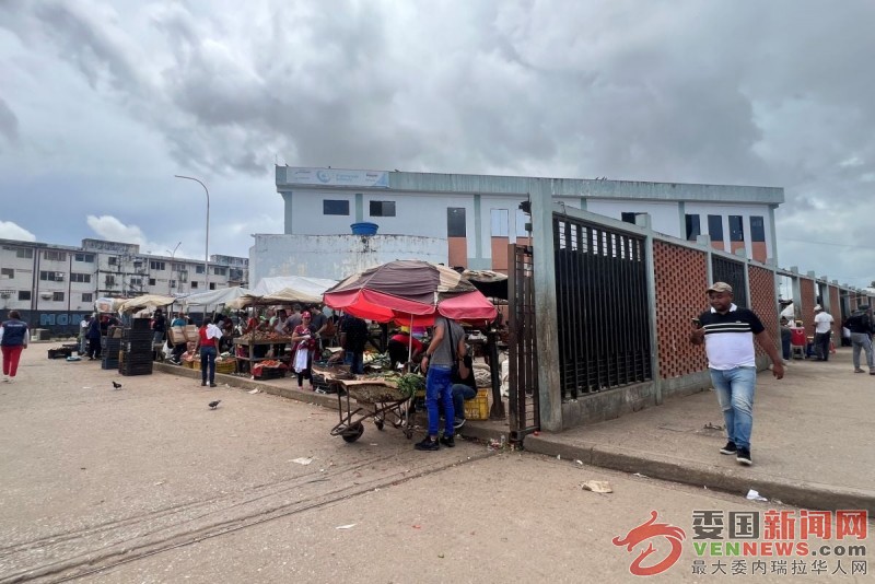 MERCADO-4.jpg