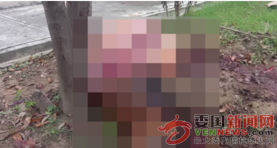 QQ20250813-094854.png