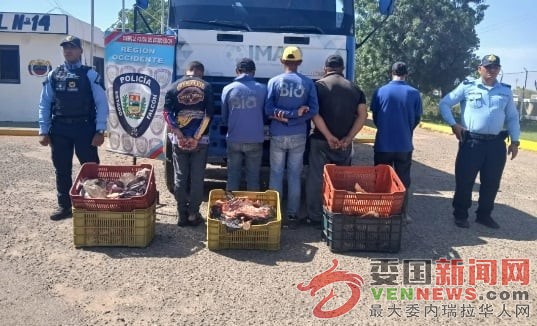 Capturan-a-cinco-sujetos-por-hurto-de-carne-en-Falcon.jpg